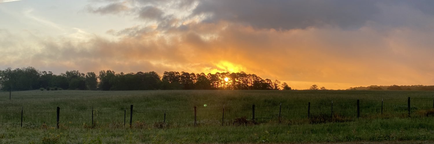 Terran Newman banner