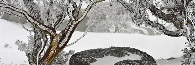 JacobJRRWT's profile banner image