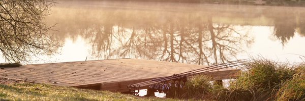 TELBG Profile Banner