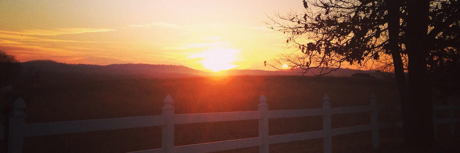 debjcurtis's profile banner image