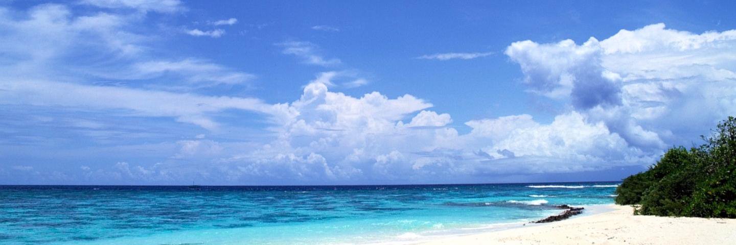 Nefe_Forever's profile banner image