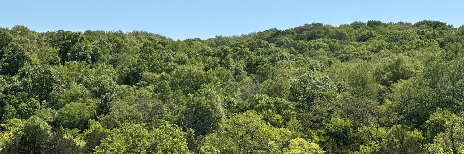 Deloris Van Cartier banner