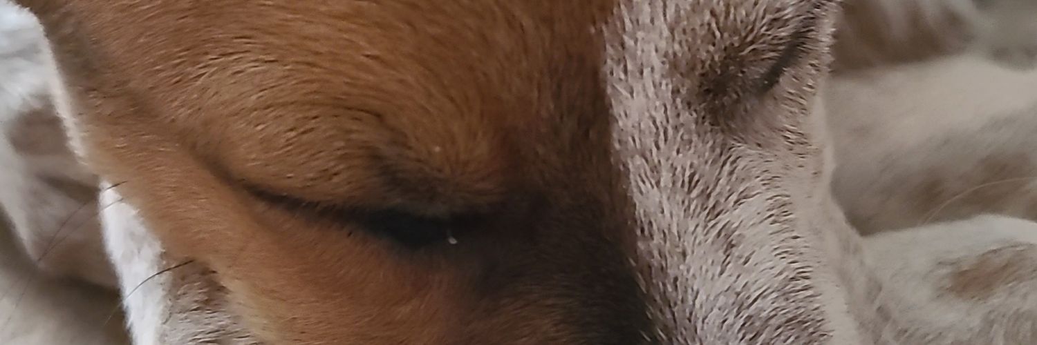 CindyH86's profile banner image
