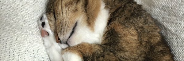 I4yx1Known Profile Banner