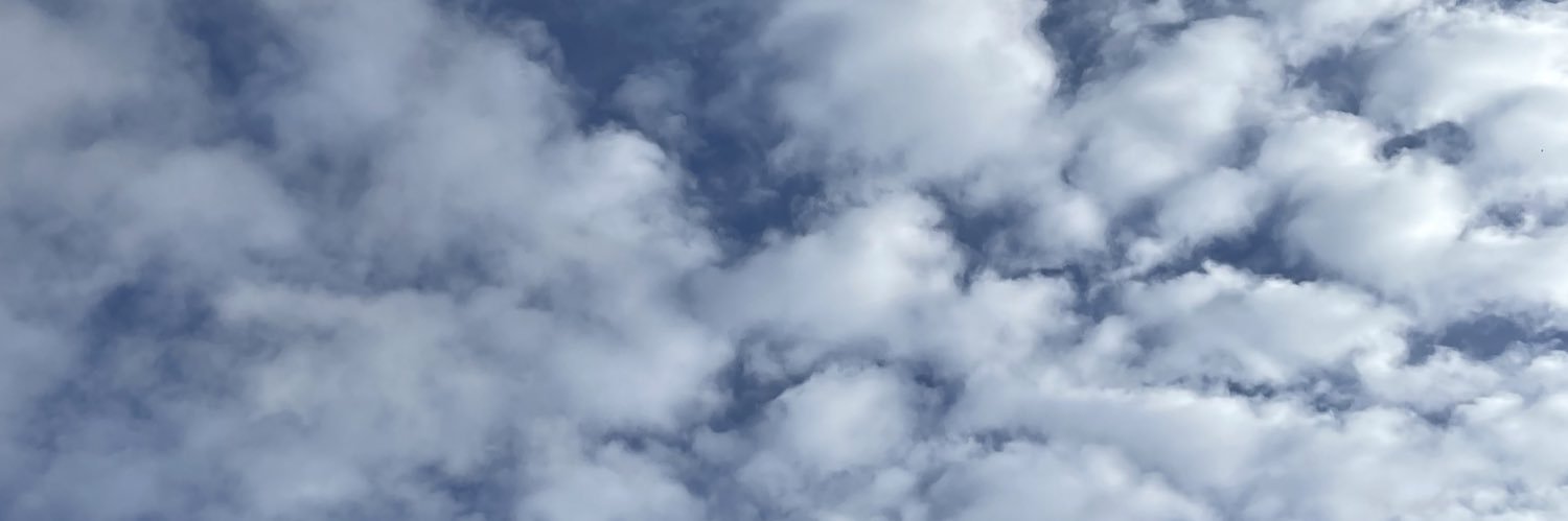 donysaurus_'s profile banner image