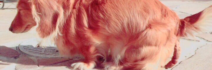 yosuke209's profile banner image