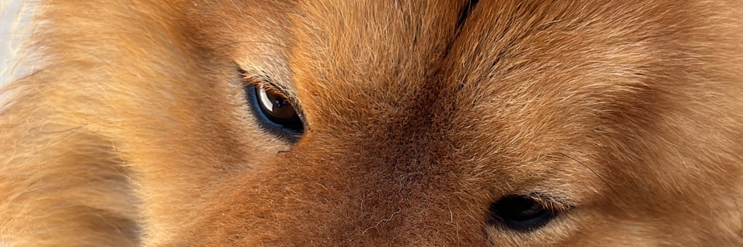 yuriocampo_'s profile banner image