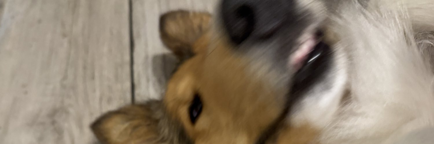 _andrerp's profile banner image