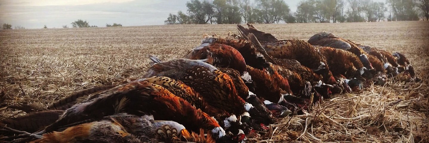 JoeTuholsky's profile banner image