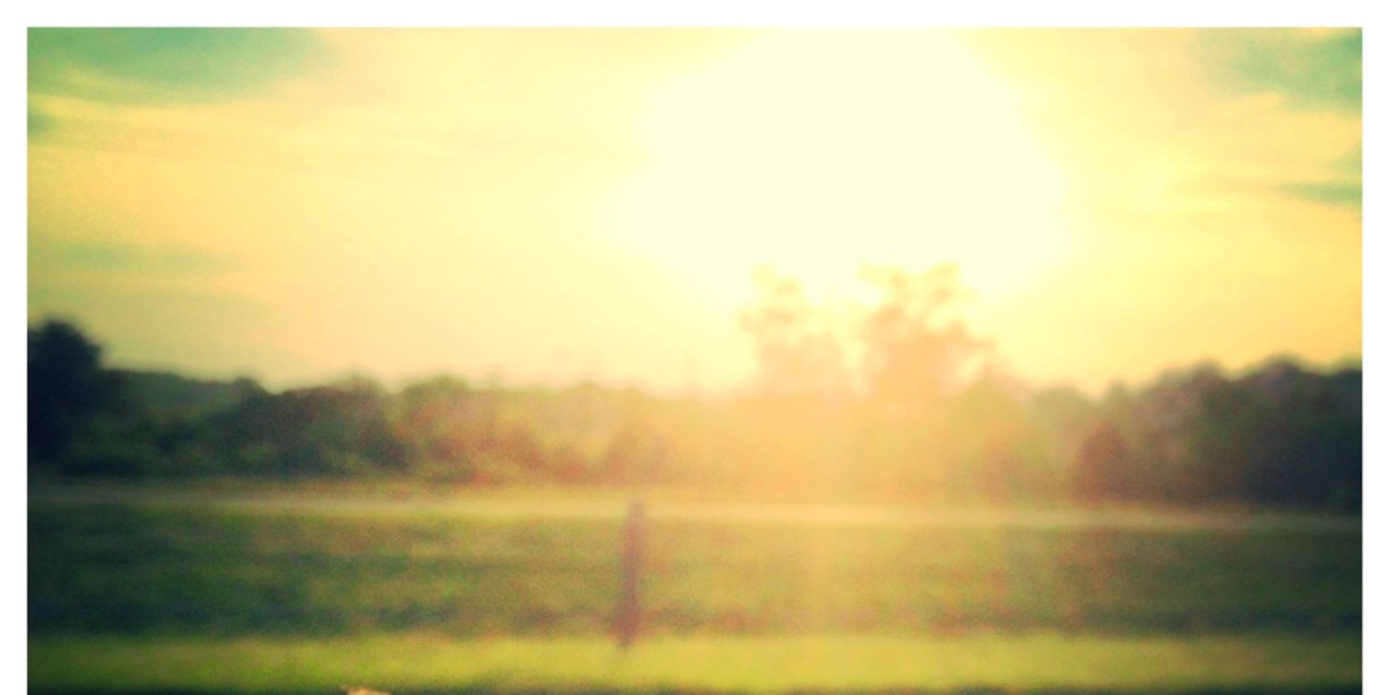 sarafurn's profile banner image