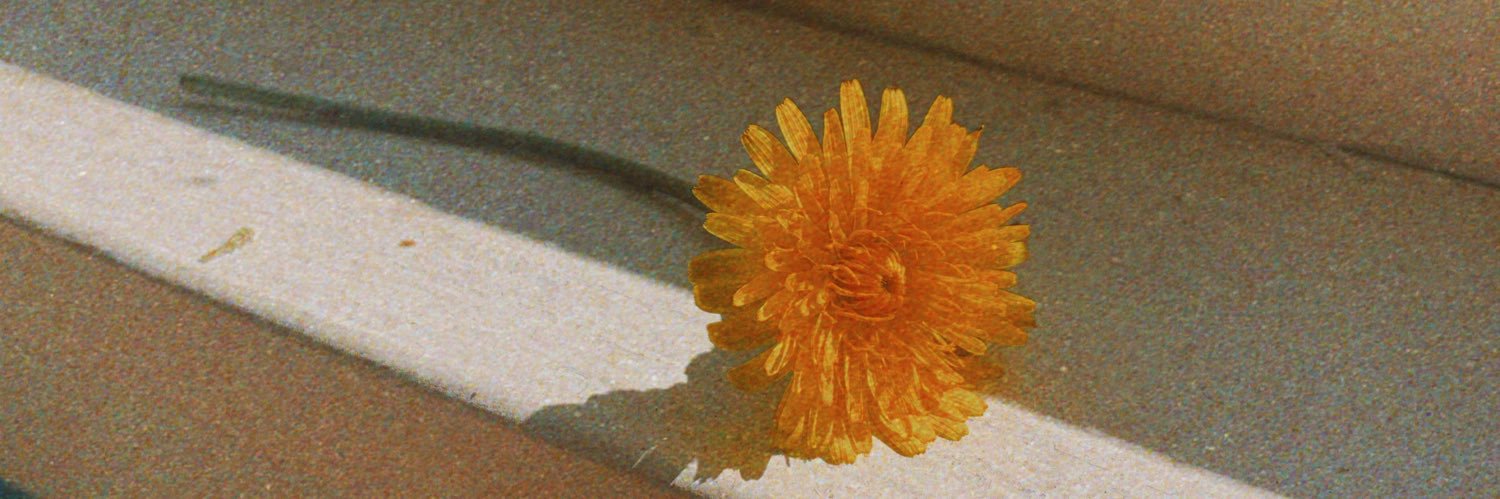ishajsla's profile banner image