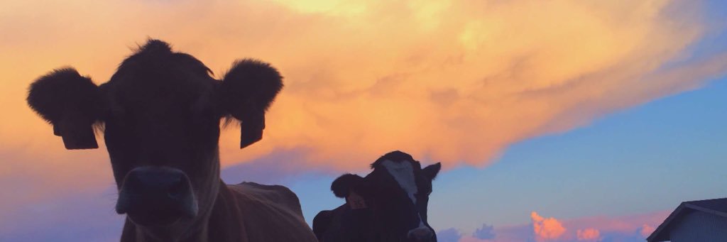 Kars35's profile banner image