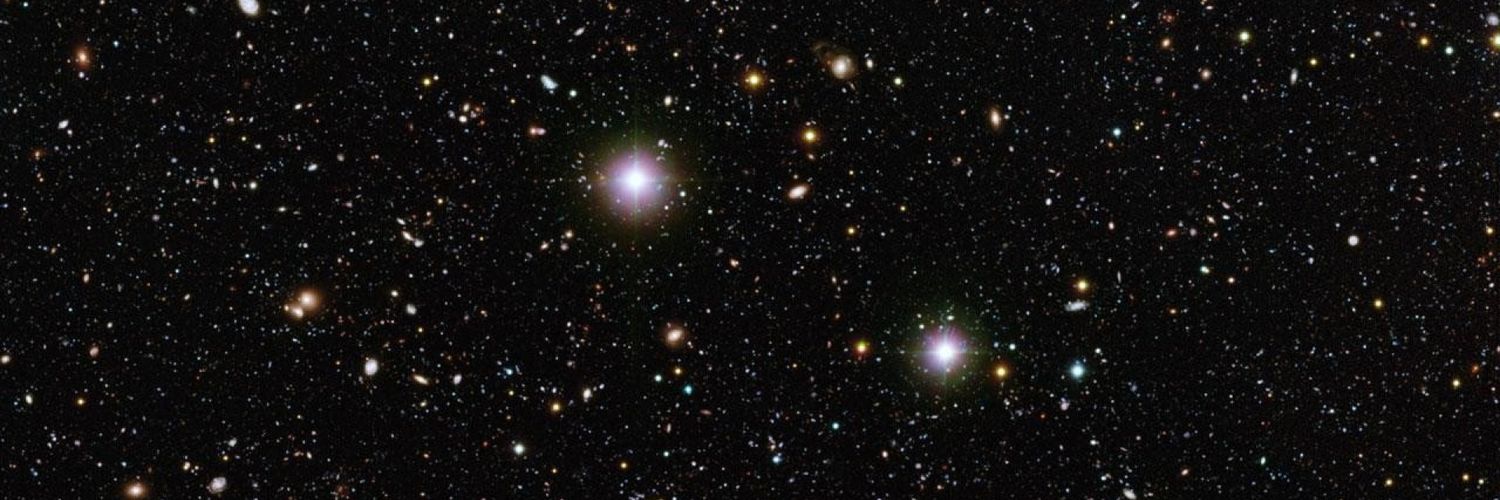 Elle Jae♀️💙🌱#SaveMyLadyJane 👑🐎❤️ banner