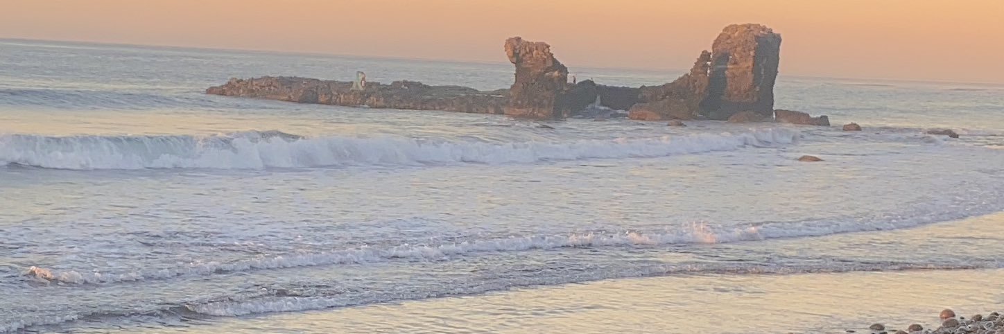sacrify98's profile banner image