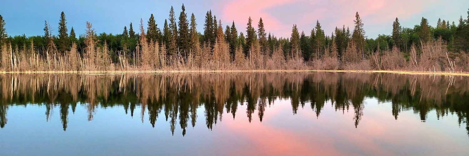 Jenelle Saskiw banner