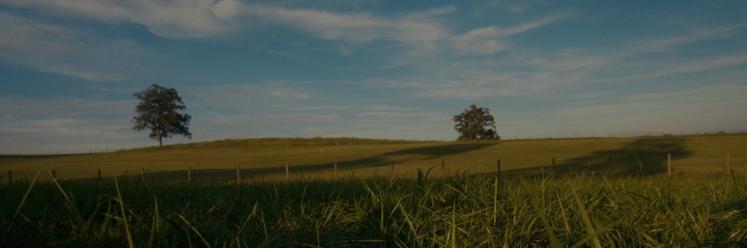 TieraMusic's profile banner image