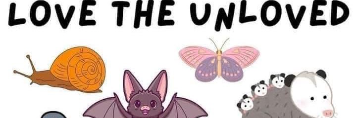 asdfjklyss's profile banner image