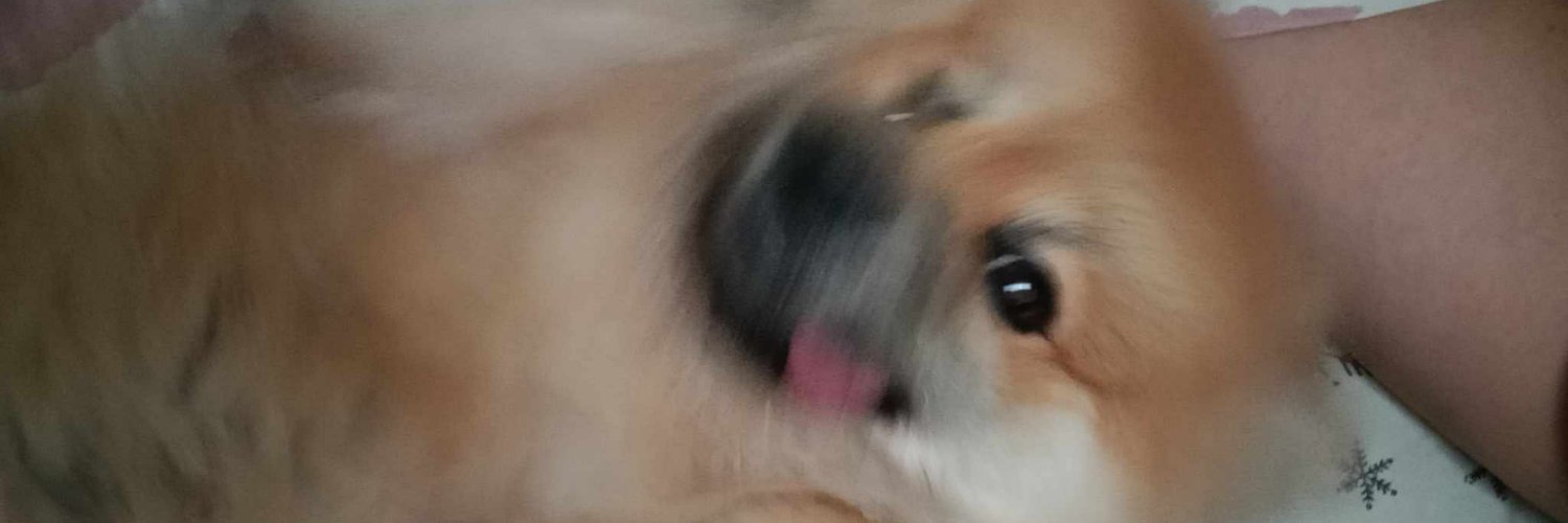 kapemaster14's profile banner image
