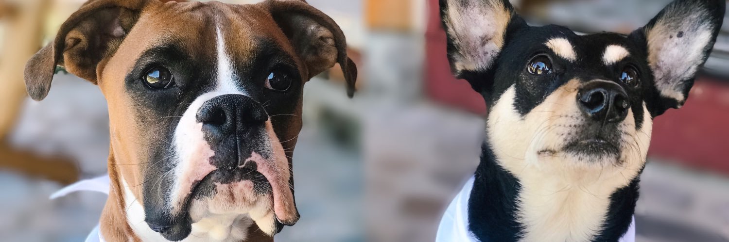 LizShady's profile banner image