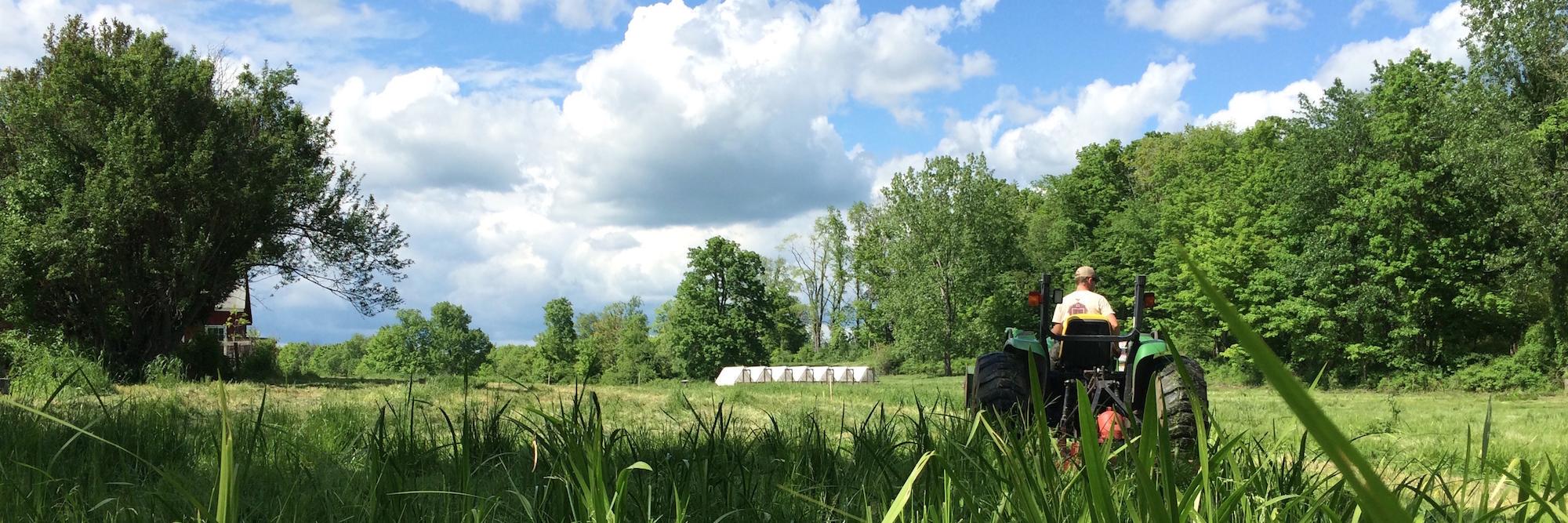 MarketingFarms's profile banner image