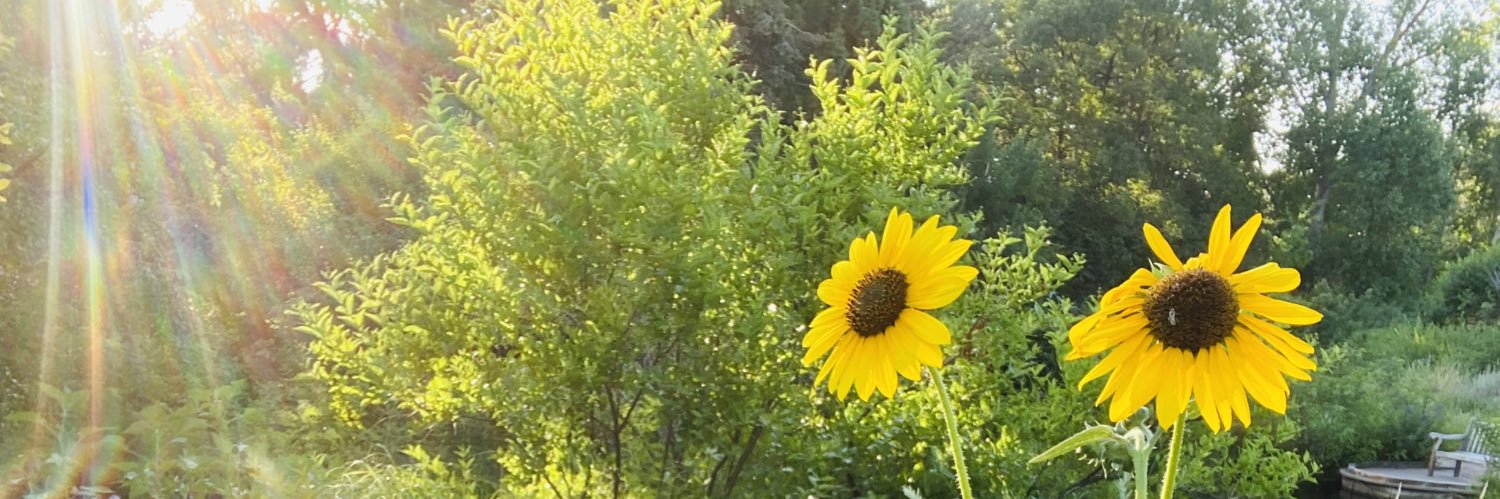 Aimee9834's profile banner image