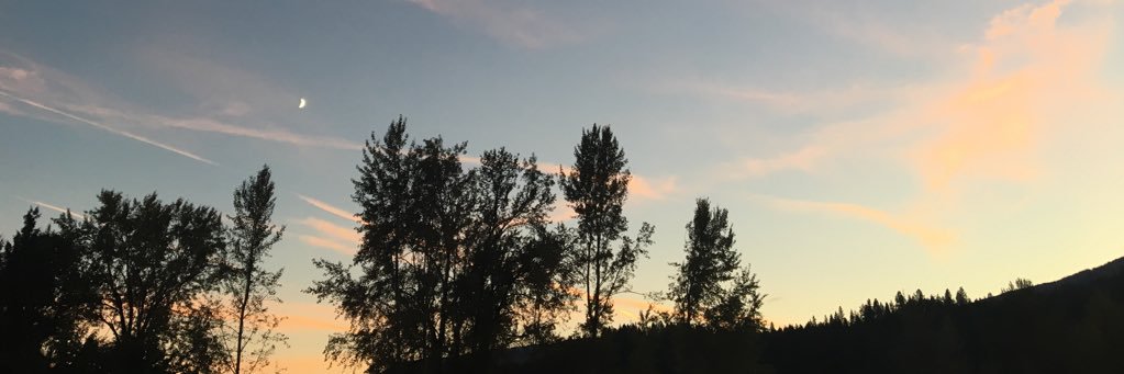 saraooster_'s profile banner image