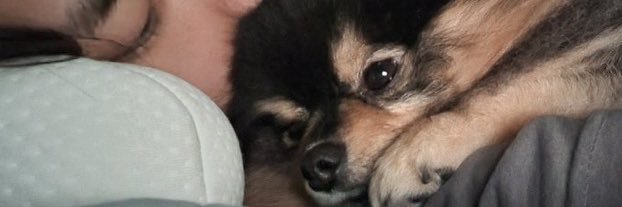 pxpppam03's profile banner image