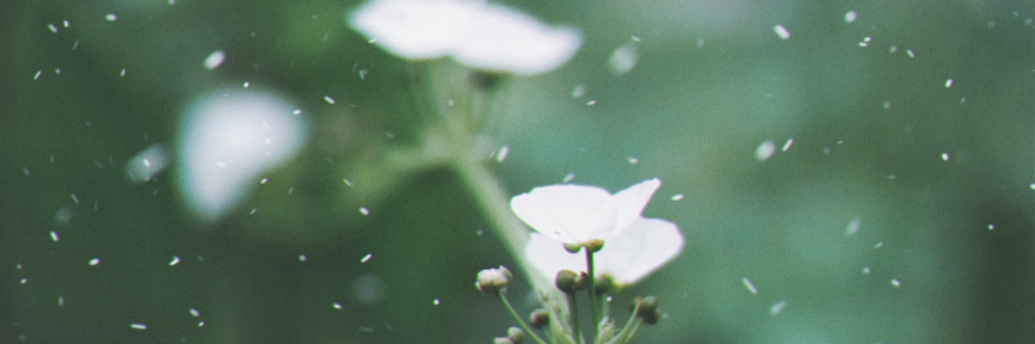 imkankamon's profile banner image