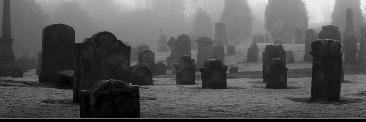 ecrodorious's profile banner image