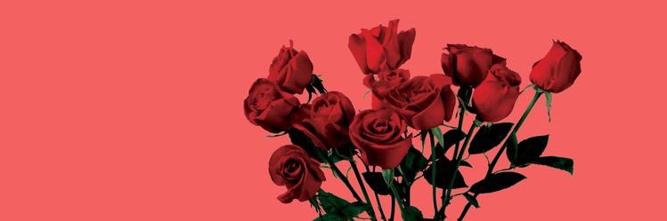 ltaylorwrites's profile banner image