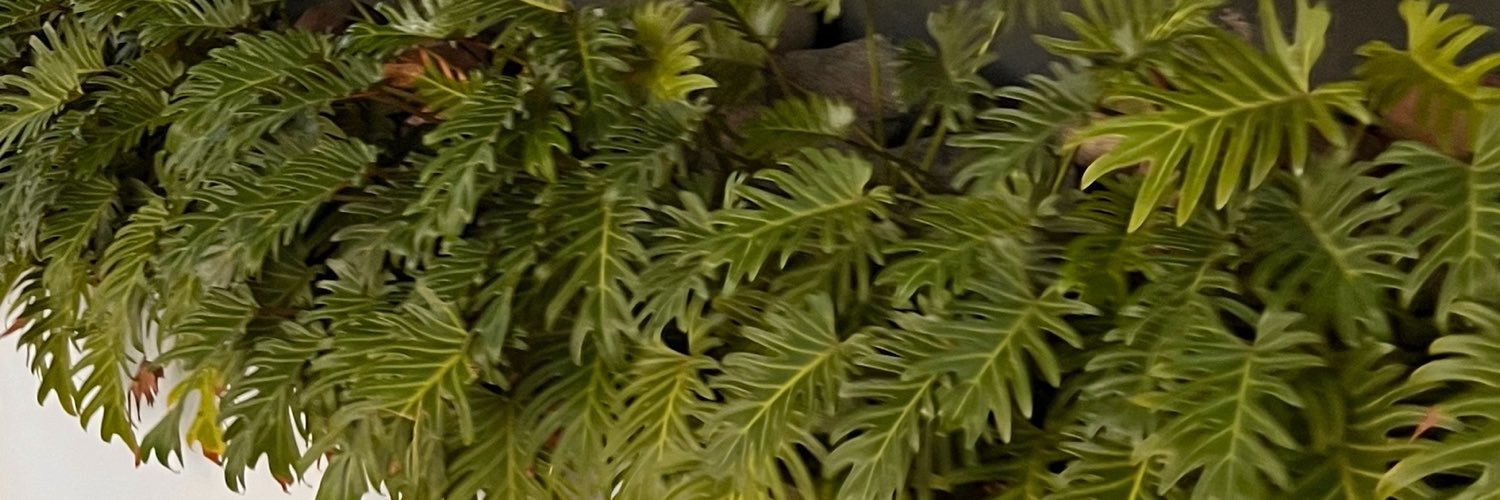 BelenFrancoC's profile banner image