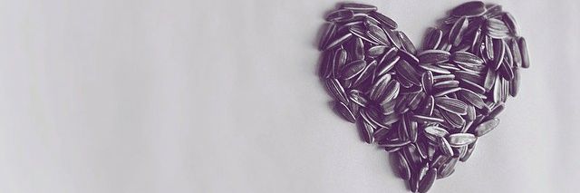 kang_saam's profile banner image