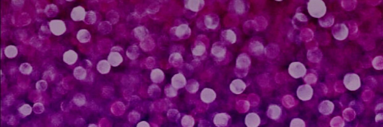 TheBrianneStory's profile banner image