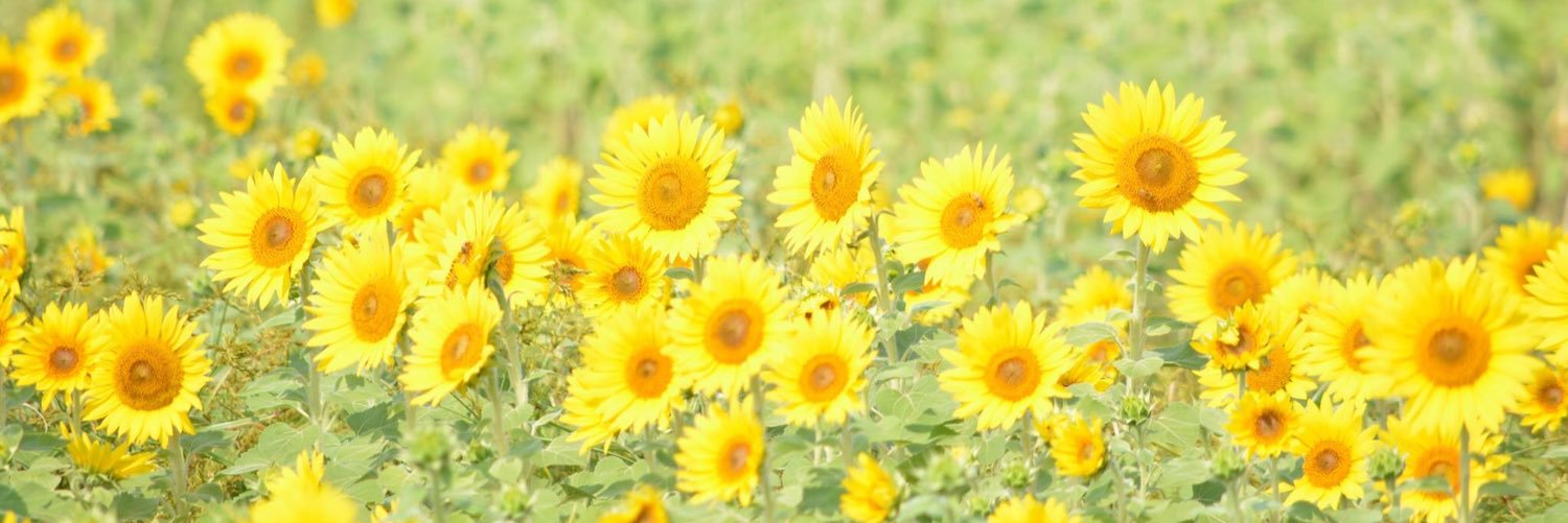 oruha318's profile banner image