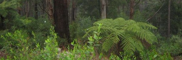 MarkBeacham Profile Banner
