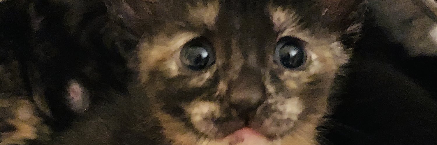 jennileeC35's profile banner image