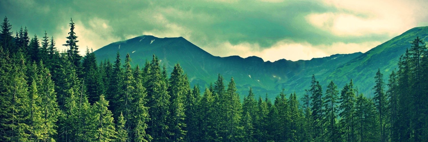 joshjclark4's profile banner image