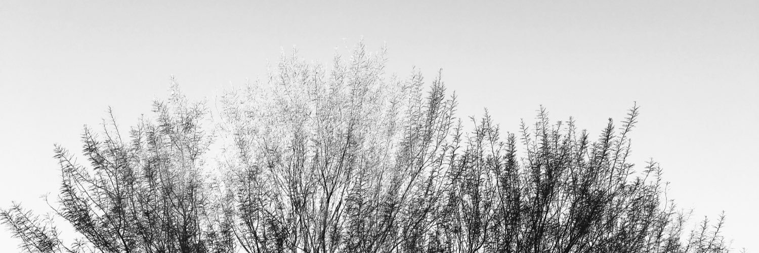 Theweked's profile banner image