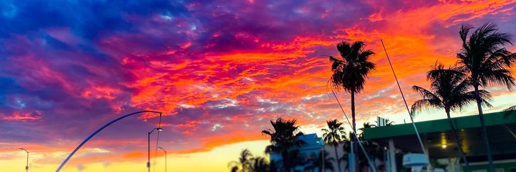 ContraryBerry_'s profile banner image