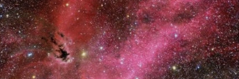 Devin💰 banner