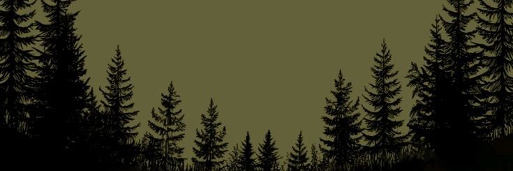 kkfuak's profile banner image
