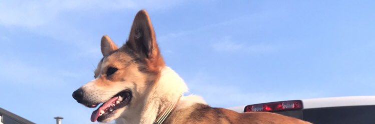 HodgesKobe's profile banner image