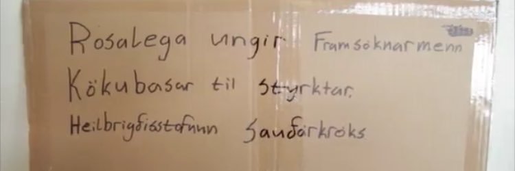 sigrún karls banner