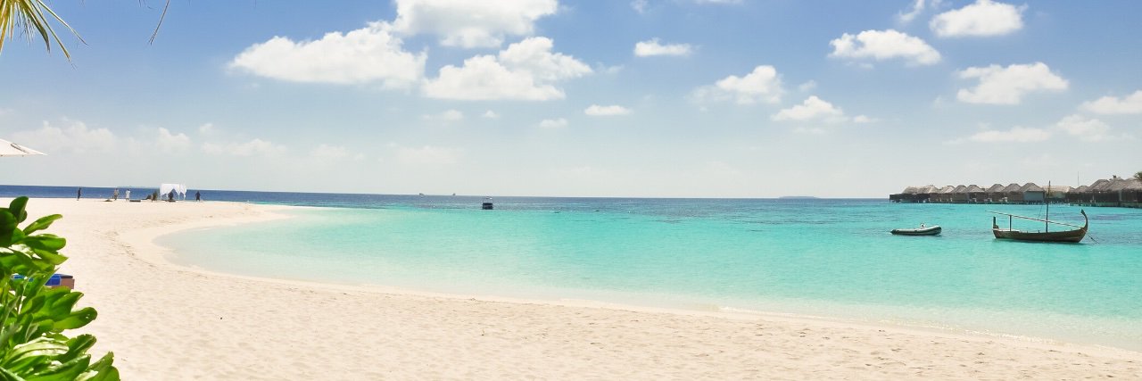 shegonlearn's profile banner image