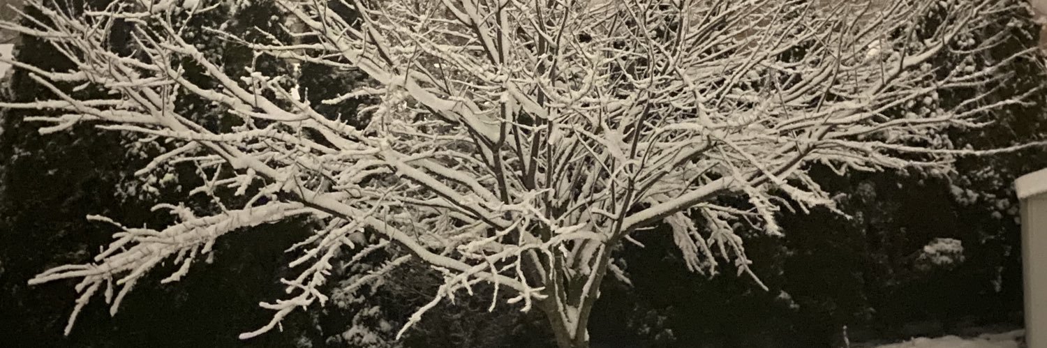 XmasKMH's profile banner image