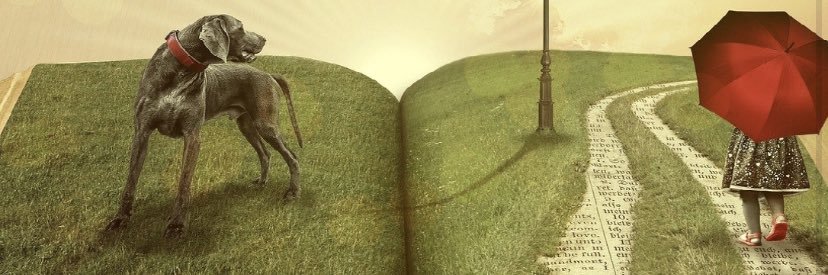 N115J's profile banner image