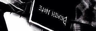Rose 🌹 banner