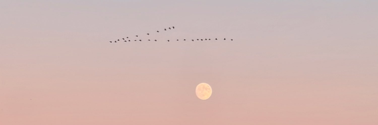 A_naaaii's profile banner image