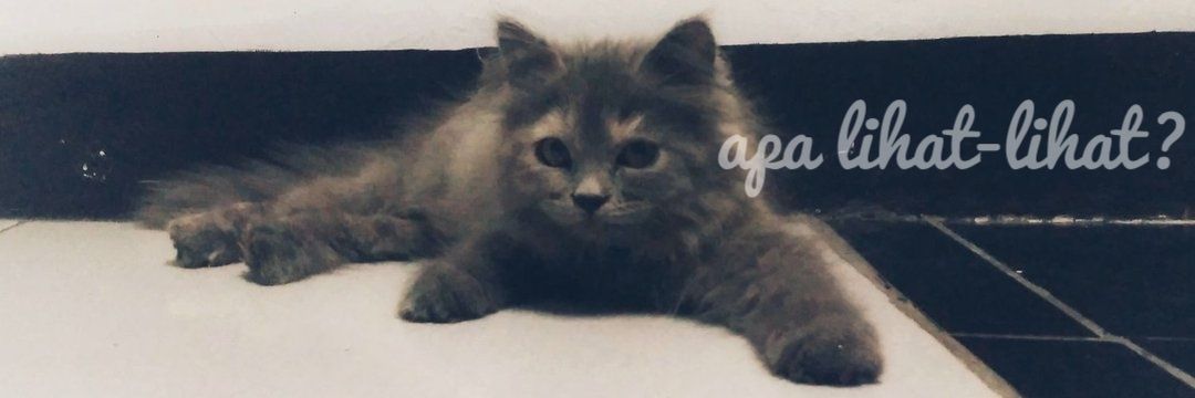 don’t post everything you think. don’t, just don’t banner