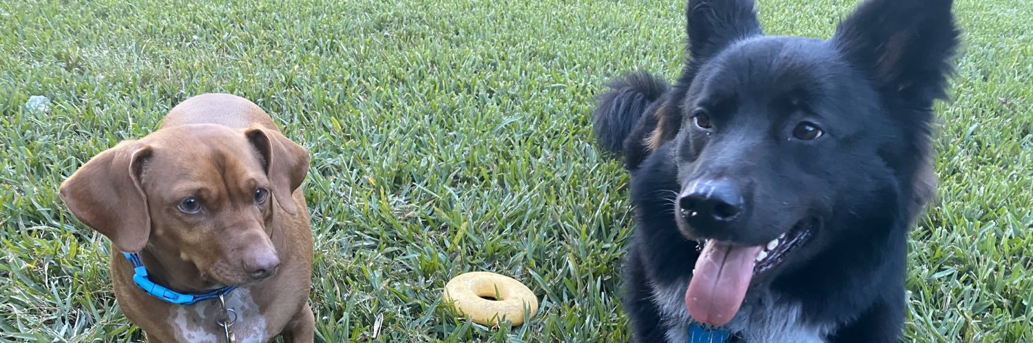 Erick🇸🇻 banner